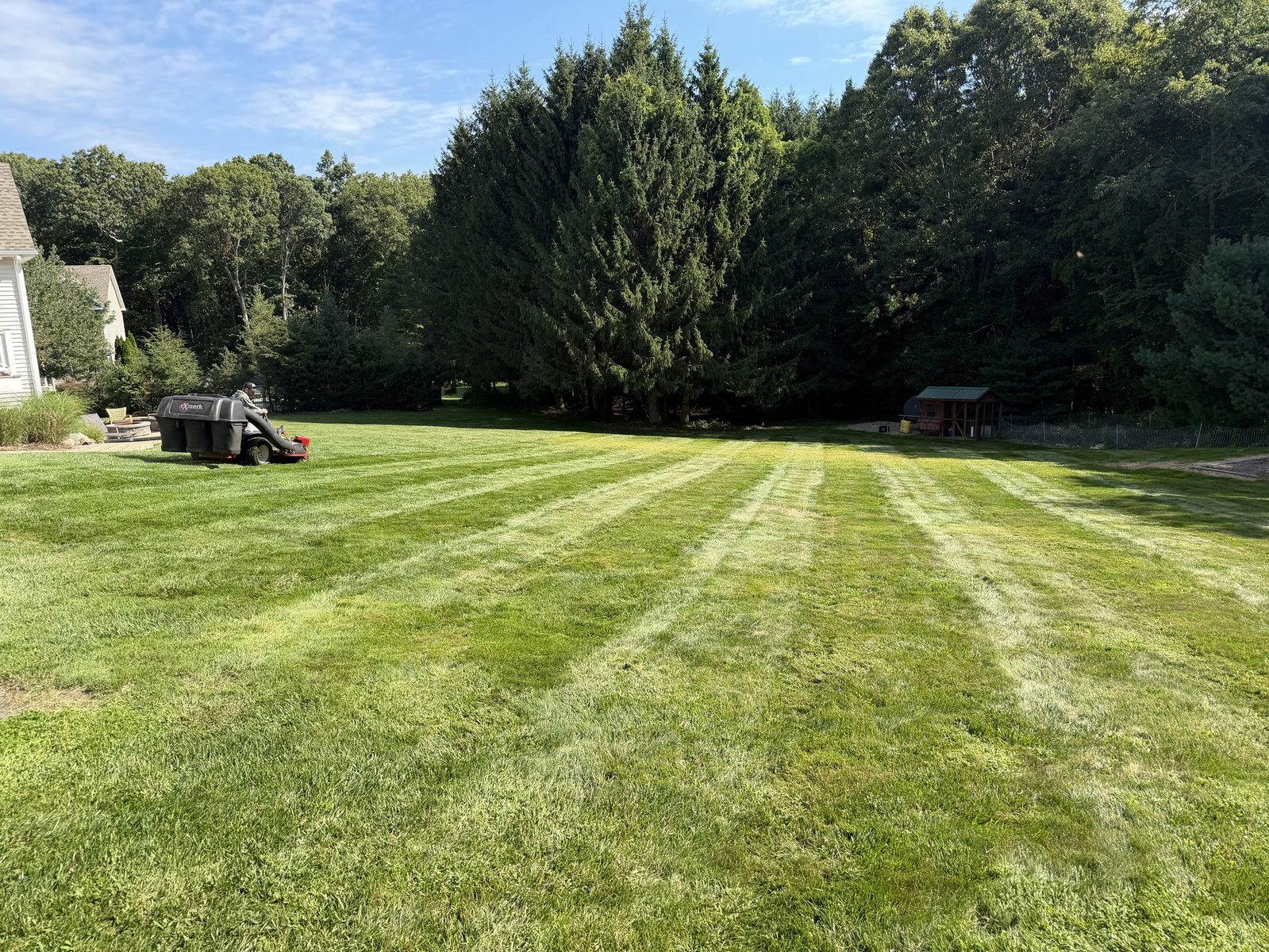 Large backyard with fresh mowing stripes and a commercial zero-turn mower