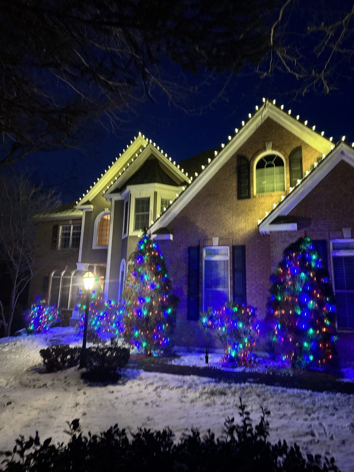 Brick home with warm white roofline and multicolor lit evergreens in snow